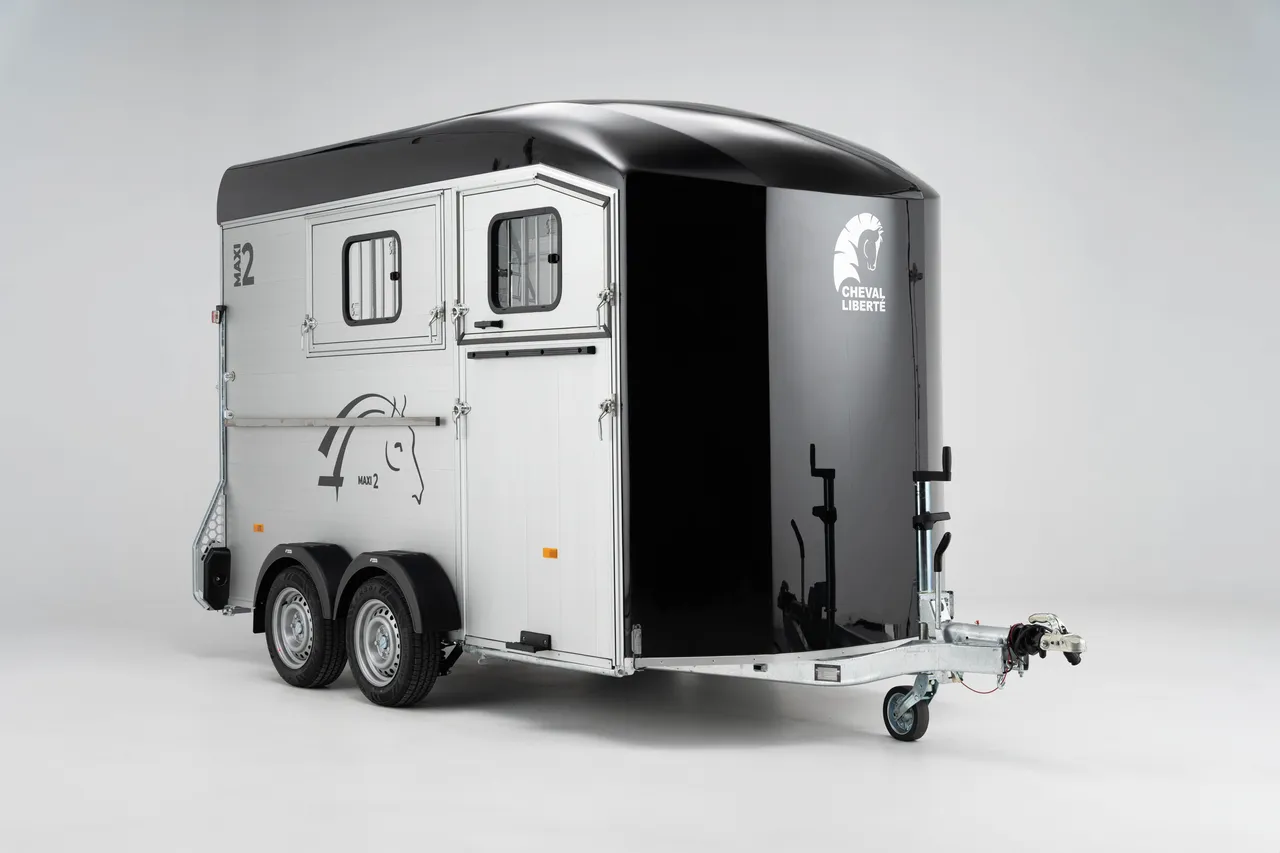 Maxi 2 - image 4